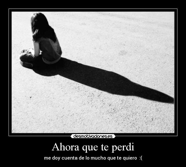 Ahora que te perdi - 