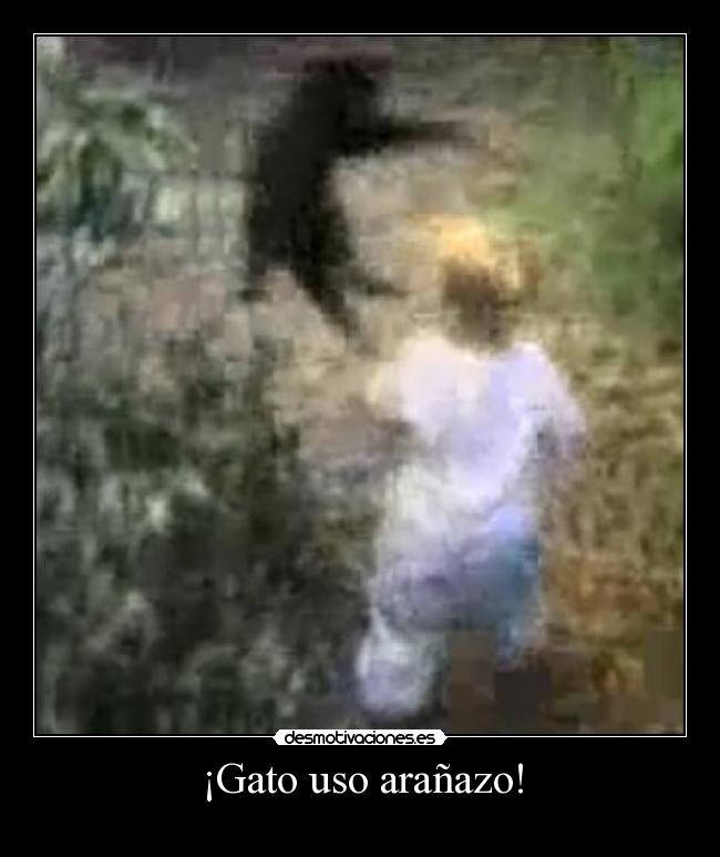 ¡Gato uso arañazo! -