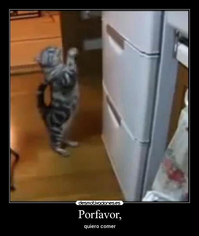 Porfavor, - quiero comer