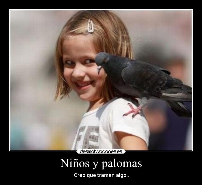 Niños y palomas - Creo que traman algo..