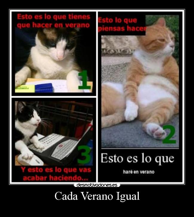 Cada Verano Igual -
