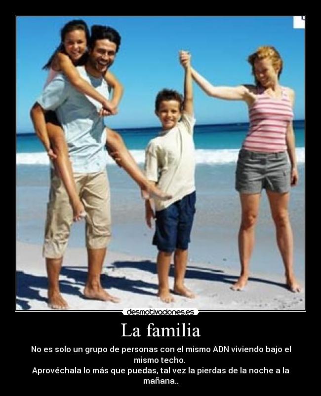 carteles familia familia desmotivaciones