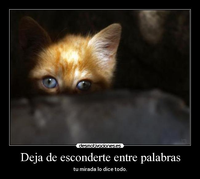 Deja de esconderte entre palabras -