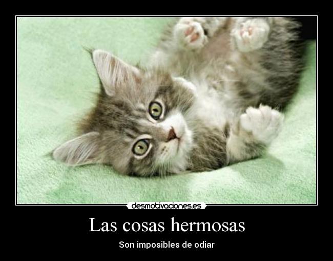 Las cosas hermosas - Son imposibles de odiar