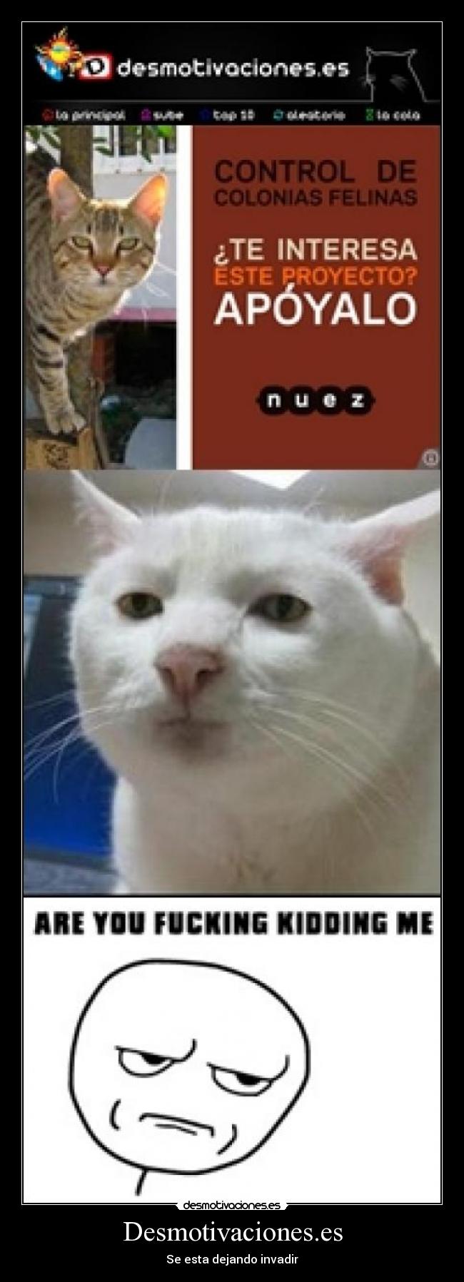 Desmotivaciones.es -