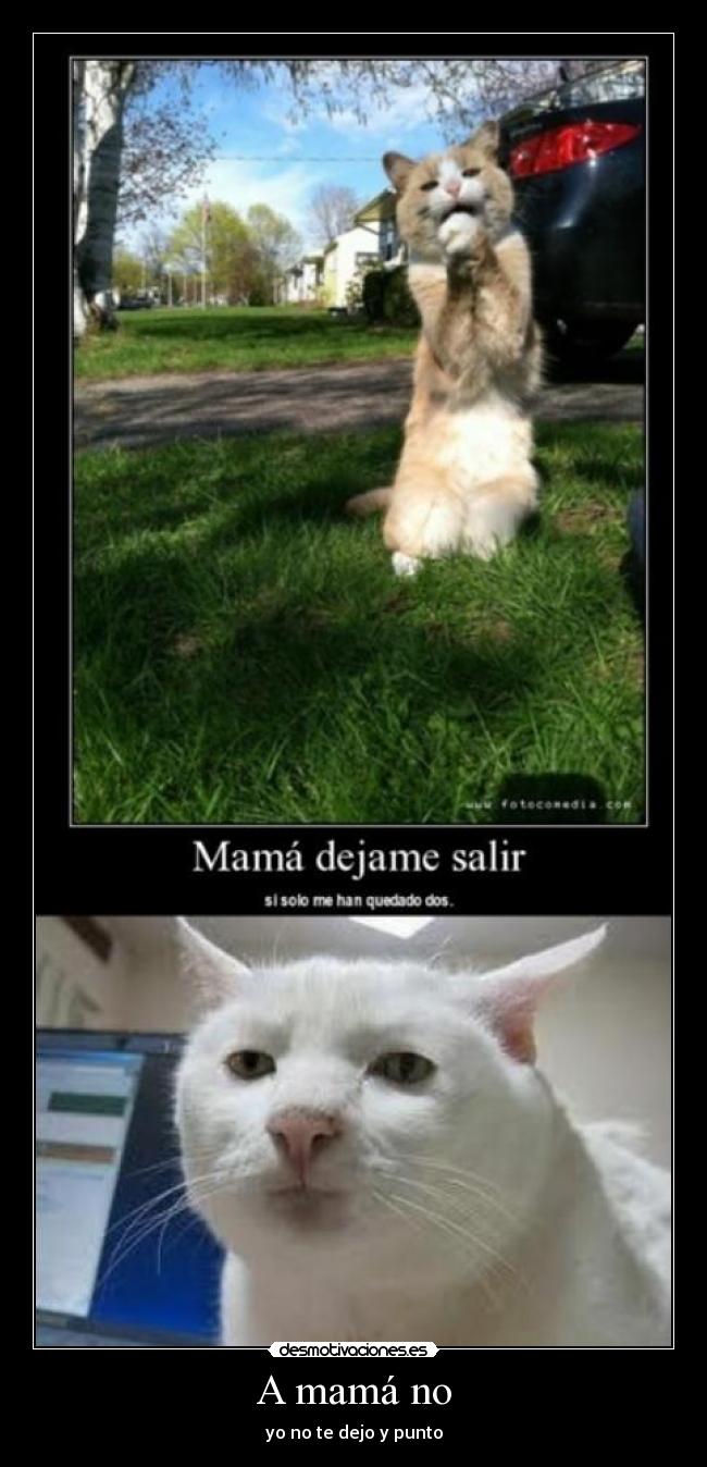 A mamá no - yo no te dejo y punto