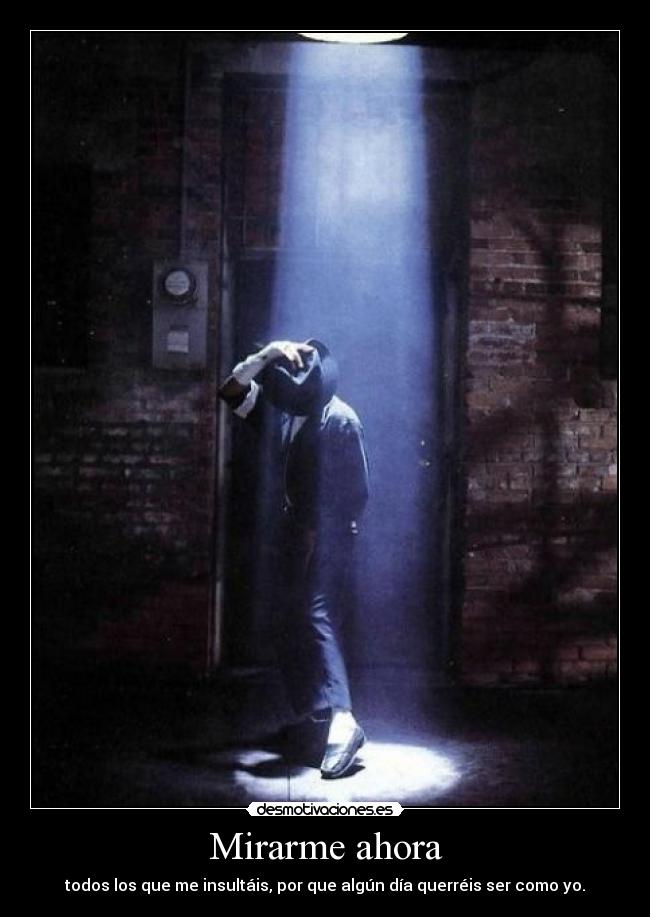 carteles mirarme ahora todos los que insultais por que algun dia querreis ser como lavidaesdura desmotivaciones