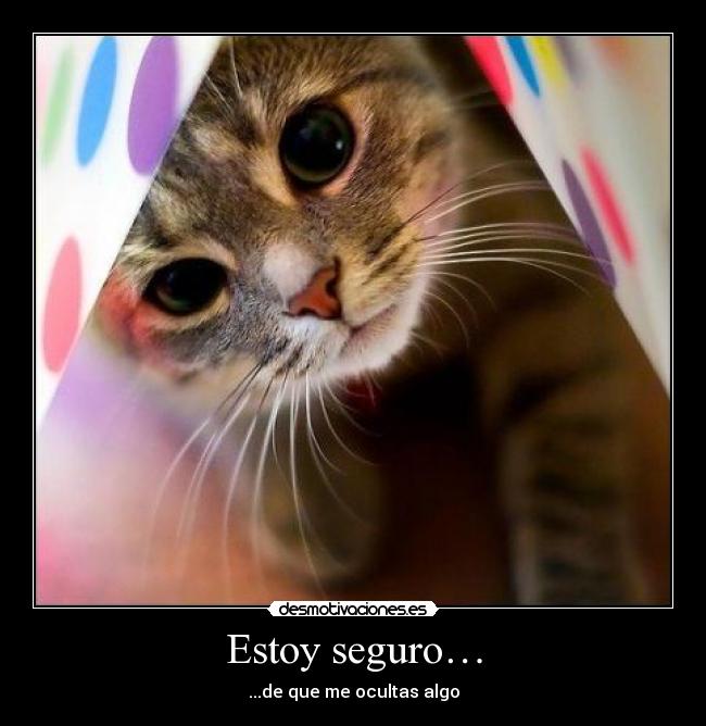 Estoy seguro… - 