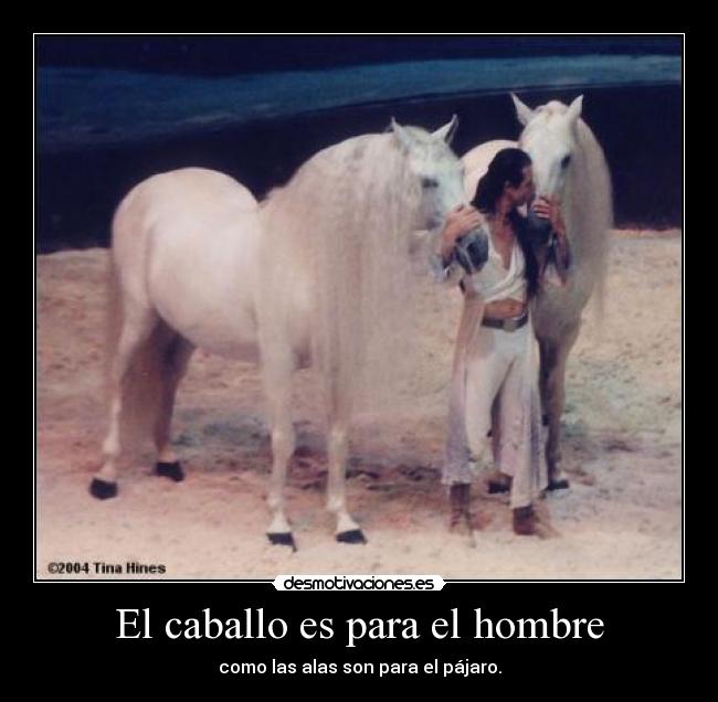 El caballo es para el hombre - 