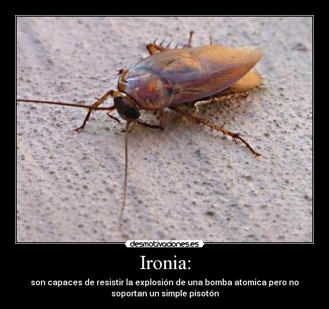 carteles cucarachas desmotivaciones