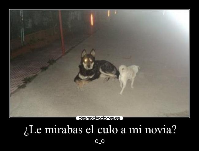 ¿Le mirabas el culo a mi novia? - O_O