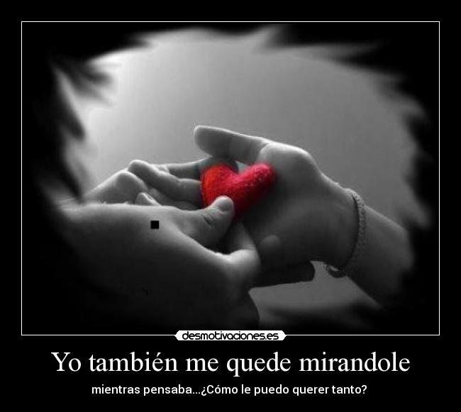 Yo también me quede mirandole - 