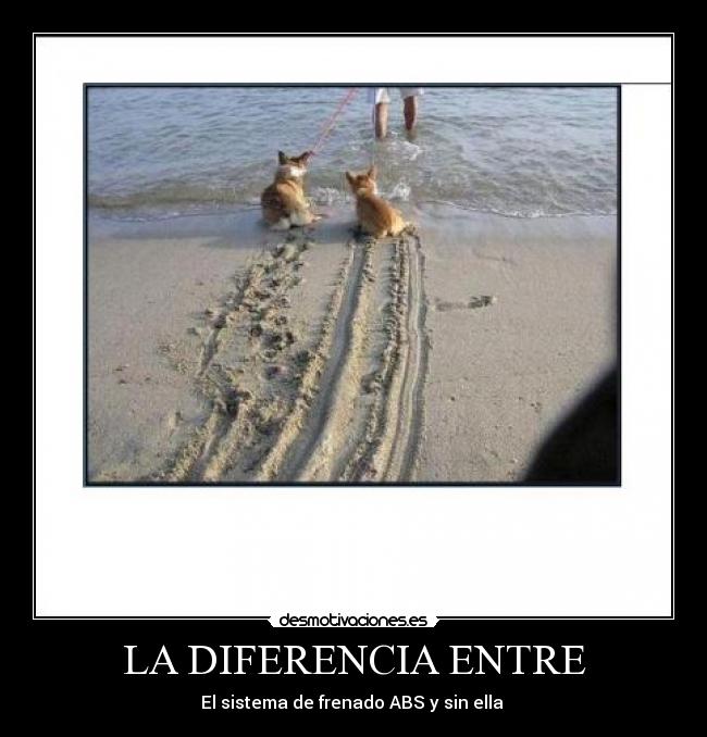 LA DIFERENCIA ENTRE -