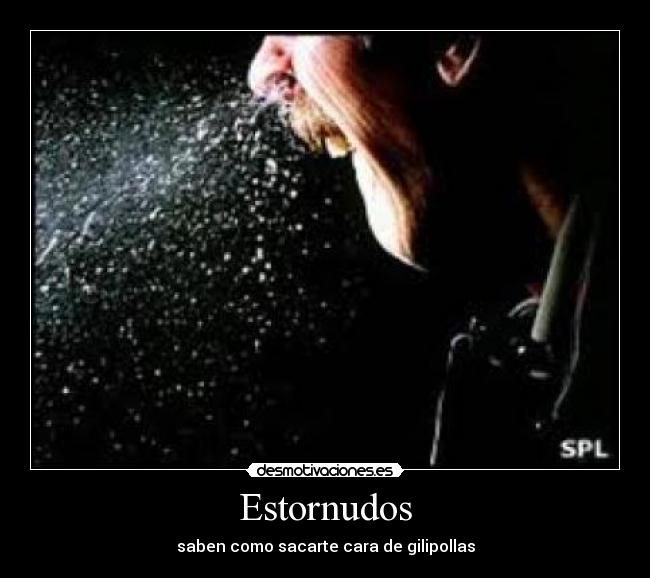 Estornudos - 