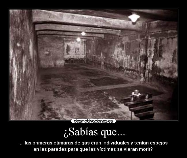 ¿Sabías que... - ... las primeras cámaras de gas eran individuales y tenían espejos
en las paredes para que las víctimas se vieran morir? 