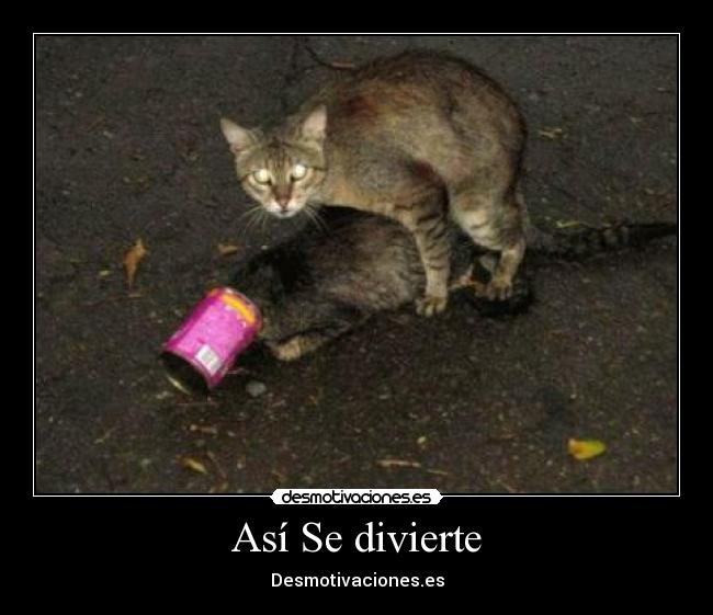 Así Se divierte - Desmotivaciones.es