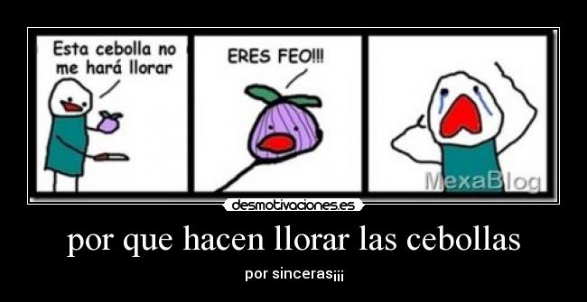 por que hacen llorar las cebollas - por sinceras¡¡¡