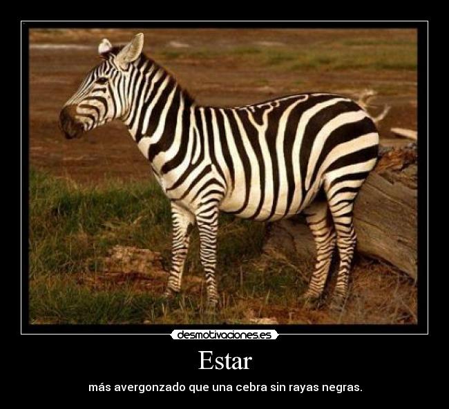 Estar - más avergonzado que una cebra sin rayas negras.