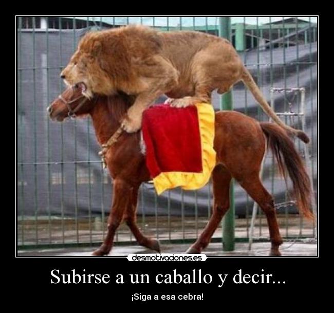 Subirse a un caballo y decir... -