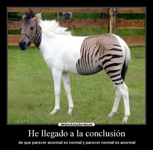 carteles lamotivacioneslomejor desmotivaciones