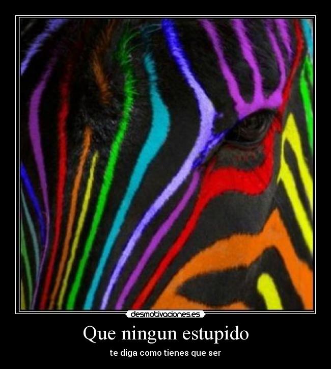 Que ningun estupido - te diga como tienes que ser