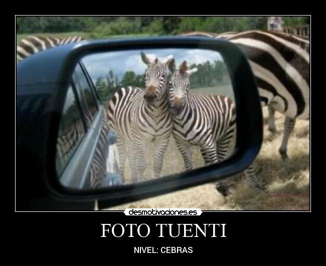 FOTO TUENTI - 