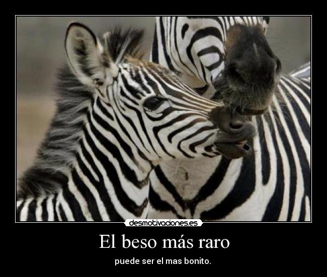 El beso más raro - puede ser el mas bonito. 