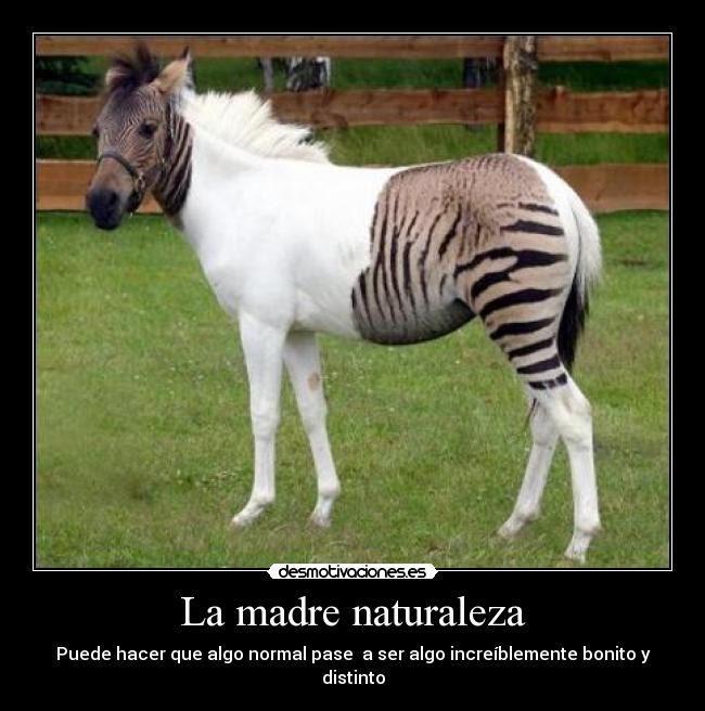 La madre naturaleza - Puede hacer que algo normal pase a ser algo increíblemente bonito y distinto