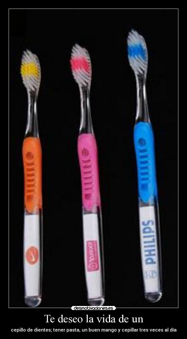 Te deseo la vida de un - cepillo de dientes; tener pasta, un buen mango y cepillar tres veces al día