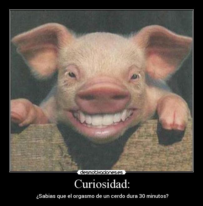 Curiosidad: - 