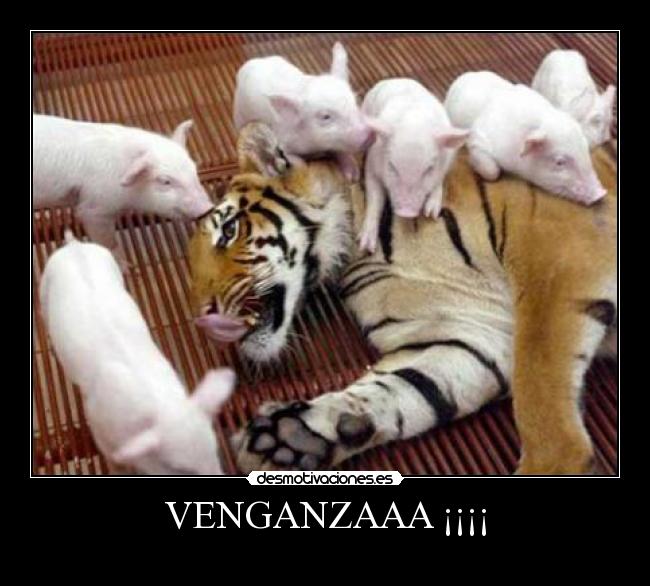 VENGANZAAA ¡¡¡¡ -