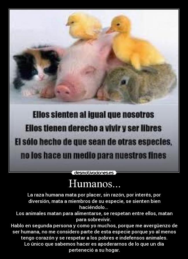 Humanos... - La raza humana mata por placer, sin razón, por interés, por
diversión, mata a miembros de su especie, se sienten bien
haciéndolo...
Los animales matan para alimentarse, se respetan entre ellos, matan
para sobrevivir.
Hablo en segunda persona y como yo muchos, porque me avergüenzo de
ser humana, no me considero parte de esta especie porque yo al menos
tengo corazón y se respetar a los pobres e indefensos animales.
Lo único que sabemos hacer es apoderarnos de lo que un día
perteneció a su hogar.
