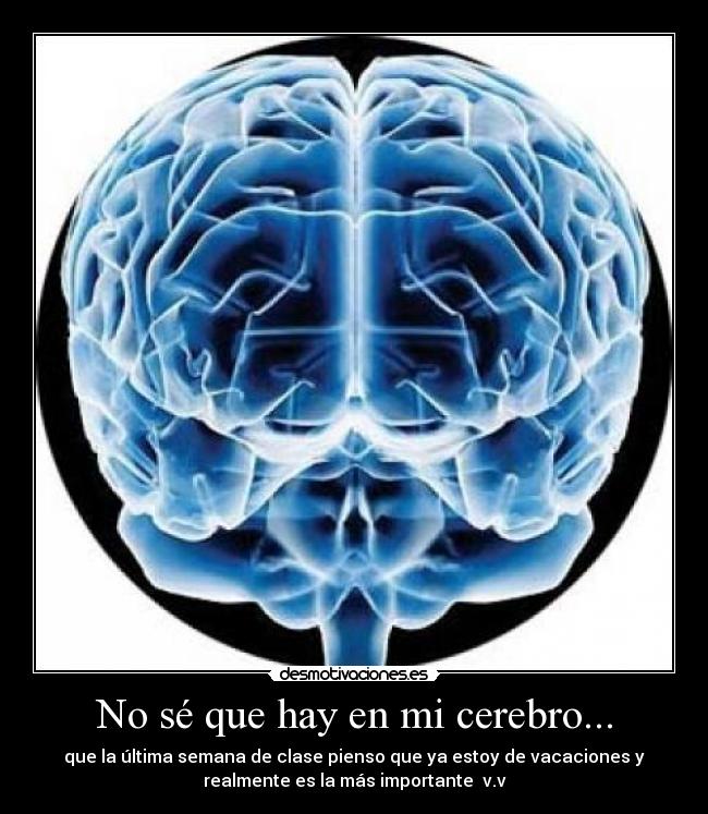 No sé que hay en mi cerebro... - 