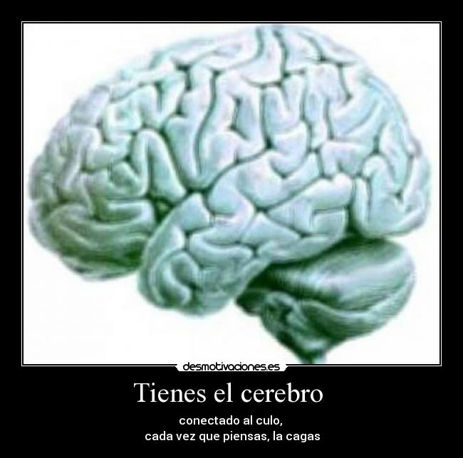 Tienes el cerebro -