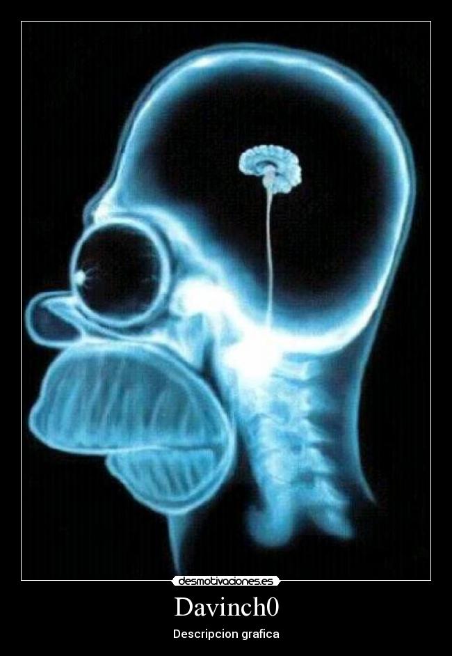 Davinch0 - Descripcion grafica