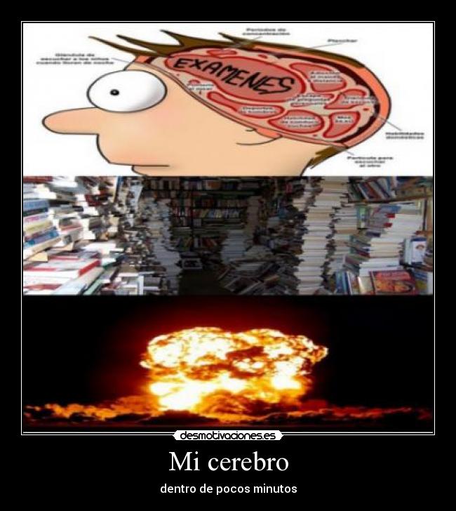 Mi cerebro -