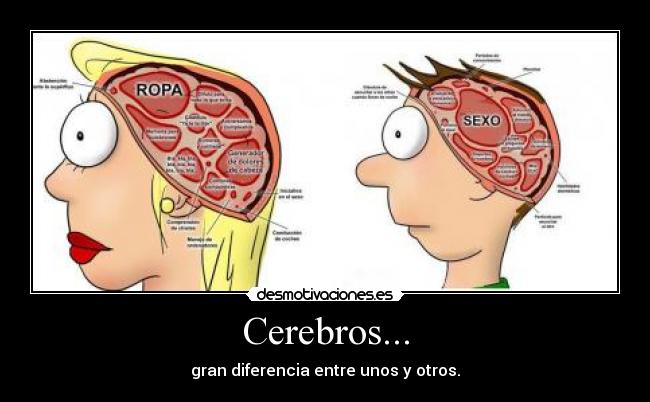 Cerebros... - 