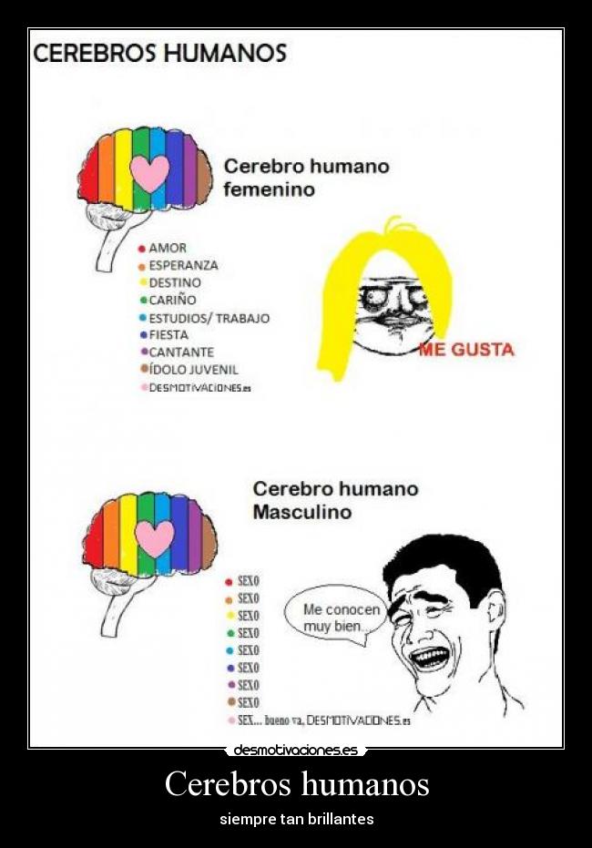 Cerebros humanos - siempre tan brillantes
