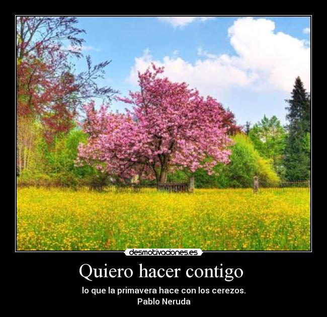 Quiero hacer contigo  - 