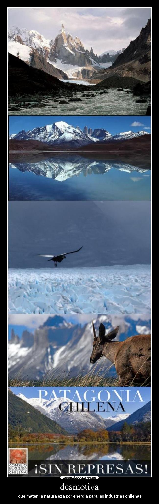 desmotiva - que maten la naturaleza por energia para las industrias chilenas