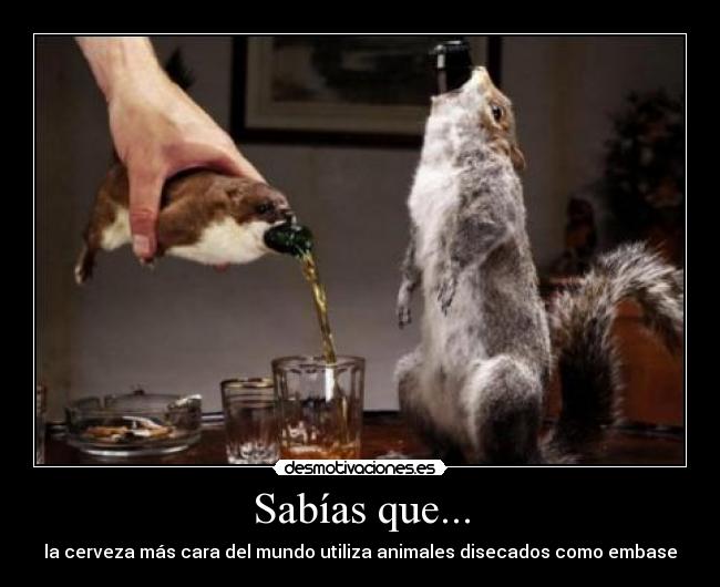 Sabías que... - la cerveza más cara del mundo utiliza animales disecados como embase