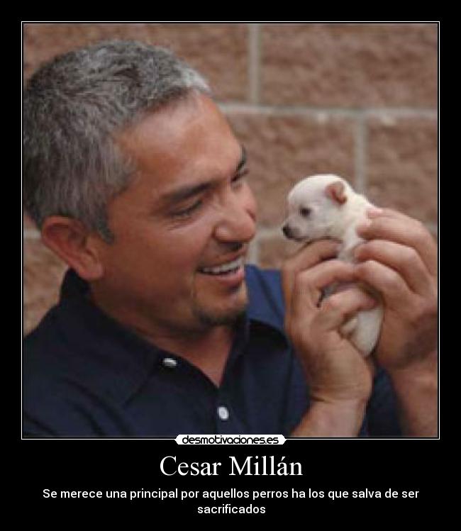 Cesar Millán - Se merece una principal por aquellos perros ha los que salva de ser sacrificados