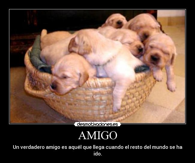 AMIGO - 