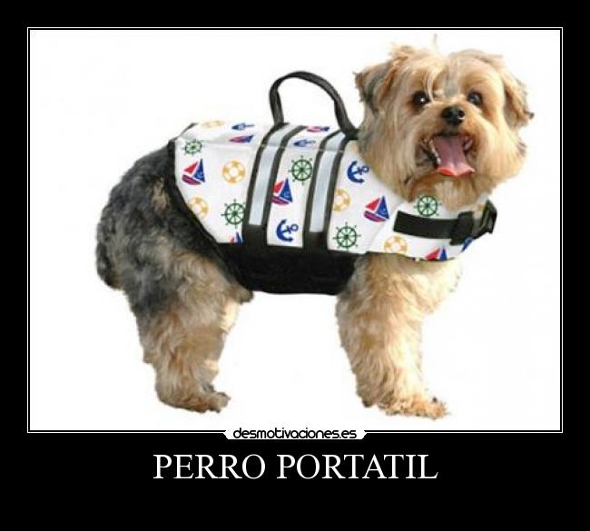 PERRO PORTATIL -