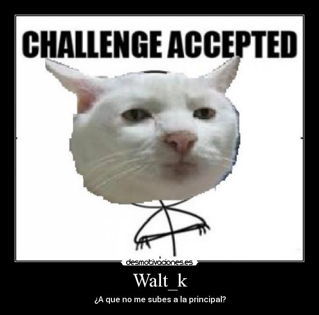 carteles challenge walt_kacepted desmotivaciones