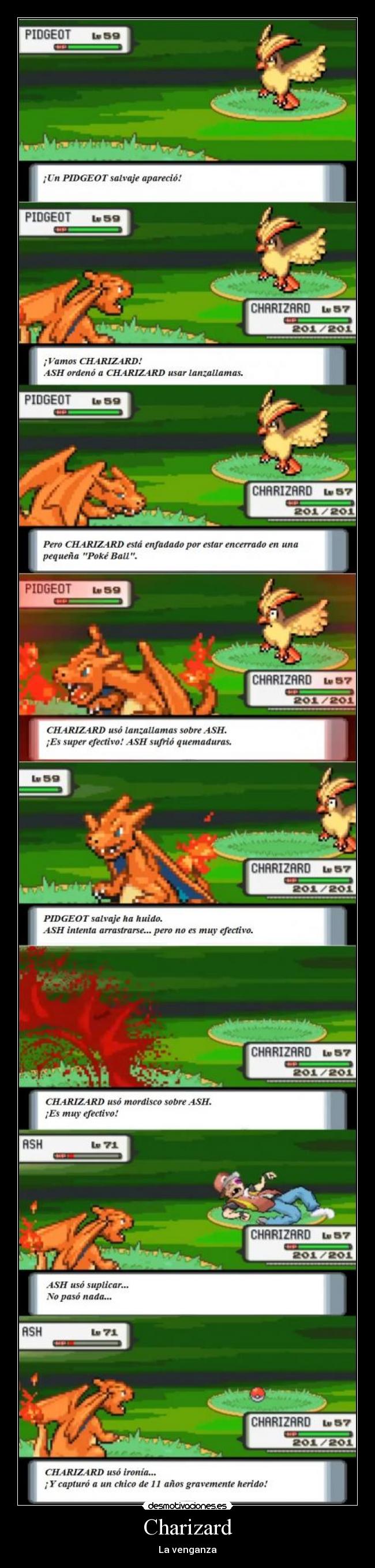 Charizard - 