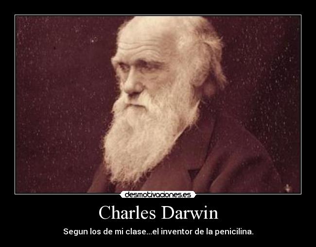 carteles charles darwin desmotivaciones