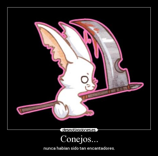 Conejos... -