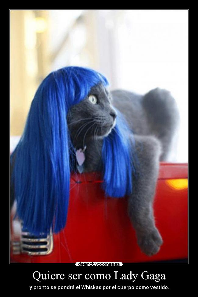 Quiere ser como Lady Gaga - y pronto se pondrá el Whiskas por el cuerpo como vestido.