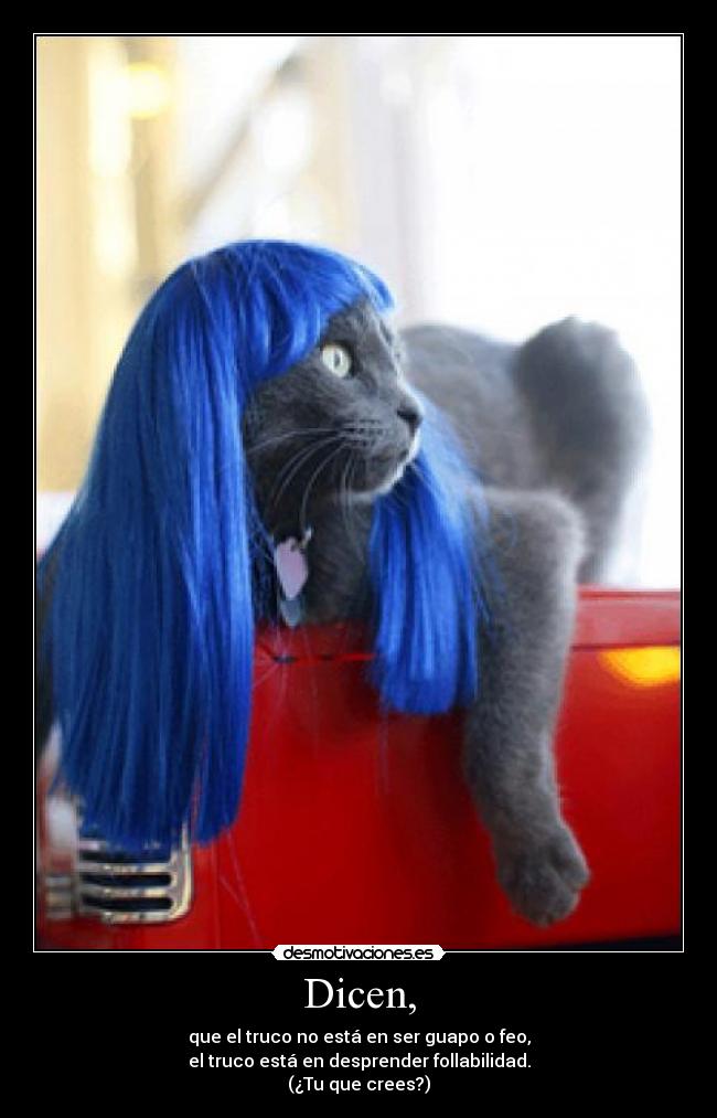Dicen, - que el truco no está en ser guapo o feo,
el truco está en desprender follabilidad.
(¿Tu que crees?)